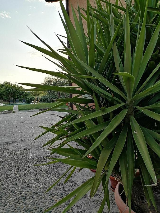 B&B Ronco Degli Ulivi อีเซโอ ภายนอก รูปภาพ