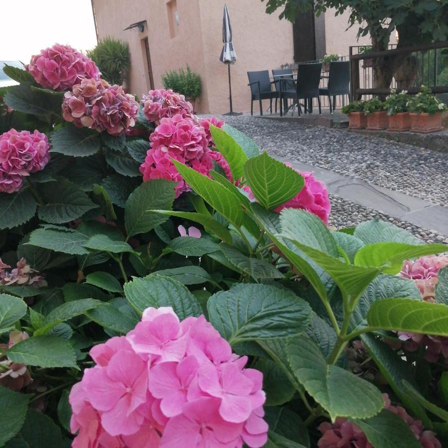 B&B Ronco Degli Ulivi อีเซโอ ภายนอก รูปภาพ